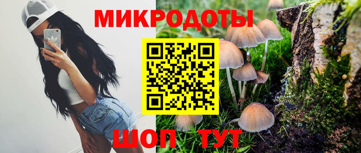 Курчатов  Псилоцибиновые грибы мухоморы  Вход с VPN 